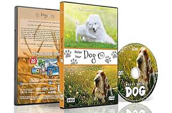 DOGS CAN’T SEE THE VIDEO+4CLIPS [DVD] Amazon.com: NATURE: Dogs that Changed the World (2016) DVD